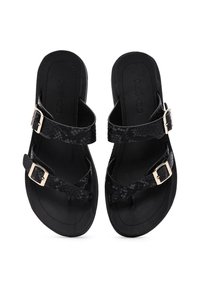 Sandales noires avec un motif texturé en imprimé serpent, présentant deux lanières avec des boucles dorées et une semelle plate en caoutchouc.