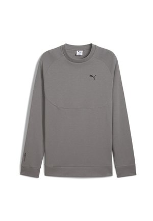 Gray long-sleeve sweatshirt with a round neckline, raglan sleeves, and a small black logo on the chest. Made from smooth, lightweight fabric.