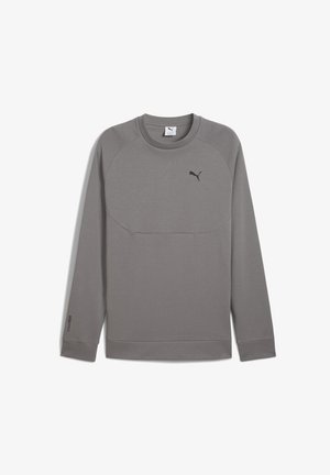 Gray long-sleeve sweatshirt with a round neckline, raglan sleeves, and a small black logo on the chest. Made from smooth, lightweight fabric.