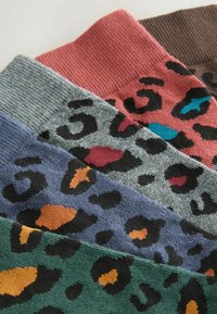 Piecu zeķu komplekts ar dažādām krāsām un leoparda rakstiem. Materiāli ir adīti, ar ribotām aprocēm dažādās krāsās.