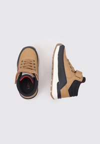Levi's® ASCOT MINI - Botines con cordones - camel