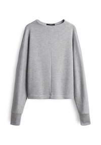 Felpa grigia corta con maniche lunghe, scollatura rotonda e morbida texture. Presenta un design semplice e senza modelli o accenti visibili.
