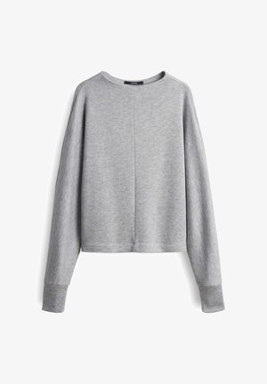 Grau zugeschnittenes Sweatshirt mit langen Ärmeln, rundem Ausschnitt und weicher Textur. Verfügt über ein einfaches Design ohne sichtbare Muster oder Akzente.