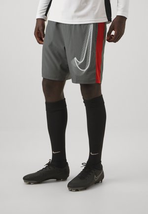 SHORT - Kurze Sporthose - iron grey/dragon red/pure platinum