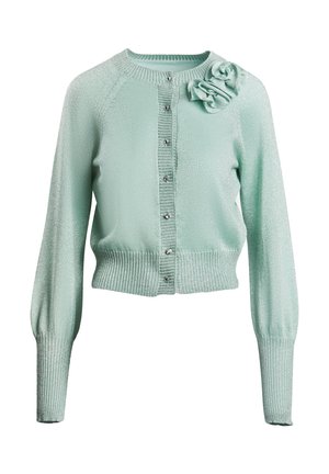 Luisa Spagnoli MARIPOSA - Neuletakki - mottled light green