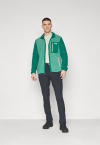 The North Face M YUMIORI FULL ZIP - Fliisjakk - green