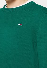 Personne portant un pull en maille vert avec un col rond et un petit logo rectangulaire aux rayures rouges, blanches et bleues sur la poitrine.