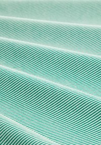 Detailní záběr na smaragdově zelenou a bílou pruhovanou látku složenou do jemných, rovnoměrných vln, ukazující texturu a vzor.