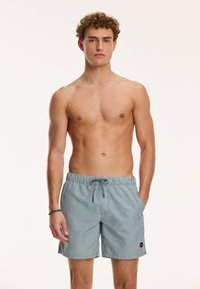 Shiwi - REGULAR FIT STRIPE - Badeshorts - cilantro green Thumbnail-Bild 1