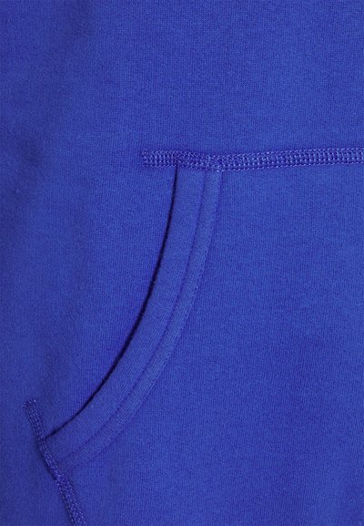 Polo Ralph Lauren THE RL FLEECE HOODIE - Sweatshirt com capuz - liberty blue