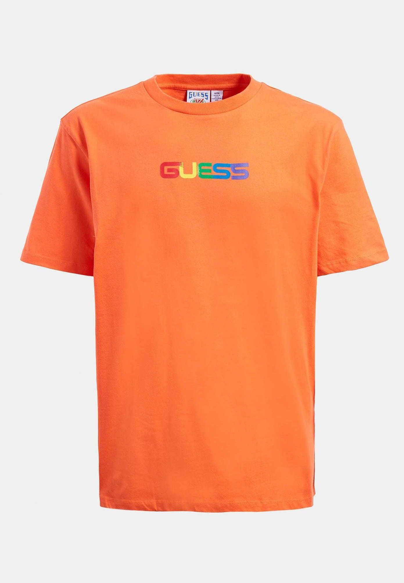 the north face t shirt brown