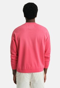 Felpa rosa con maniche lunghe, scollatura rotonda e polsini a coste. Tessuto morbido con una vestibilità rilassata e orlo che si ferma in vita.