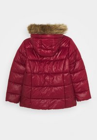 Levi's® PUFFER - Vinterjacka - cabernet