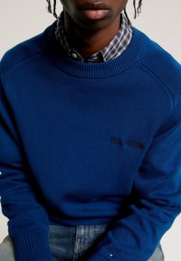 Tommy Hilfiger Stickad tröja - blue