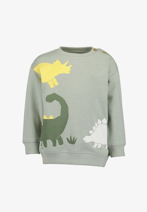 Zelená mikina s designy dinosaurů v žluté, zelené a bílé barvě. Obsahuje knoflíkové akcenty na rameni a texturovanou tkaninu.