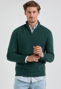 Donkergroen pullover trui met een halve ritssluiting bij de kraag, textuur stof, geribbelde manchetten en zoom, gedragen over een lichtblauw gestreept shirt.