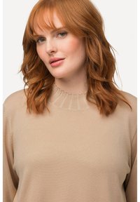 Ulla Popken STEHKRAGEN LANGARM - Maglione - mauve