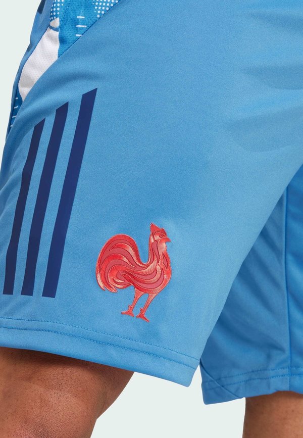 FRANCE GYM - Sports shorts2