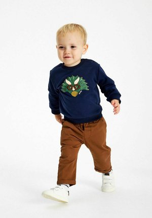 Marinblå sweatshirt med en dinosaur-tryck, tillsammans med bruna byxor och vita sneakers. Tyget ser mjukt ut; byxorna har en avslappnad passform.