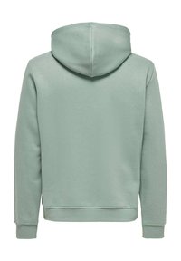 Sudadera verde claro con un bolsillo tipo canguro, puños y dobladillo acanalados. Textura suave con capucha en la parte posterior y sin logotipos visibles.