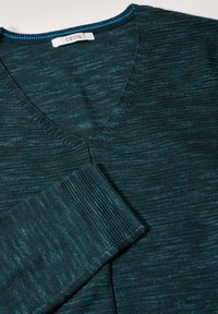 Maglione v-neck verde acqua, con texture e dettagli a coste blu scuro sul colletto e sui polsini. L'etichetta riporta "CECIL."
