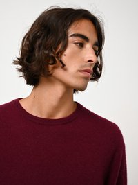 Authentic Cashmere AIGLIÈRE - Stickad tröja - bordeaux