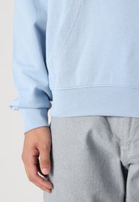 Felpa azzurra con una texture morbida, polsini a costine e orlo arrotondato. Abbinata a pantaloni grigi chiari con una texture sottile.