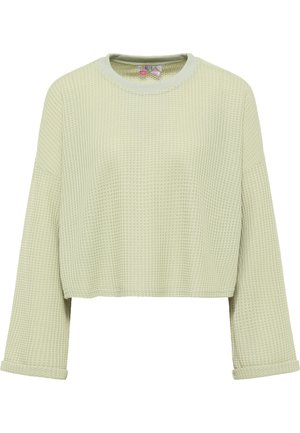 Pulover texturat, scurt, de un verde deschis, cu mâneci lungi și manșete rulate. Dispune de un decolteu rotund și un model de tricot în formă de fagure.