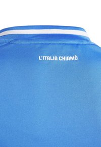 Mėlyna sportinė polo marškiniai su baltais apykaklės dryžiais. Nugaros pusėje yra tekstas "L'ITALIA CHIAMÒ", išrenktas baltai ant lygios tekstūros.