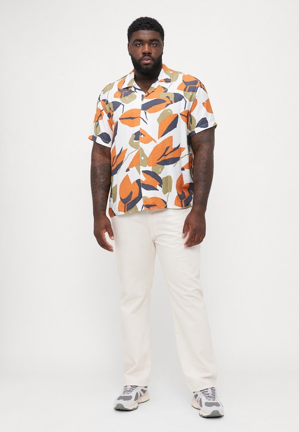 JORTAVIRA MARSHALL SHIRT - Shirt - cloud dancer4