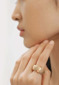 Anillo de malla de oro con una banda lisa y pulida. El diseño presenta un patrón texturizado y un acento central liso, destacando su artesanía.