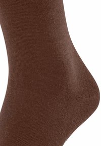 FALKE AIRPORT - Calzettoni - brown