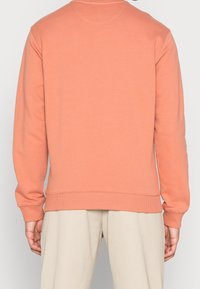 Lichtoranje sweatshirt met lange mouwen, ribbelmanchetten en -zoom, ontwerp met ronde hals en een gladde stof. Achteraanzicht weergegeven.