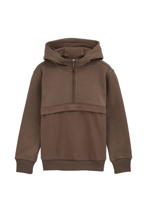 BLUE RIDGE - Mikina s kapucňou - taupe