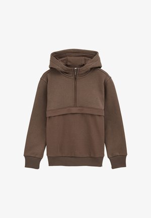 BLUE RIDGE - Džemperis su gobtuvu - taupe