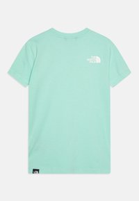 T-shirt verde mentolo a maniche corte con scollatura rotonda e un logo bianco sulla parte superiore della schiena. Presenta un piccolo etichetta nera sull'orlo.