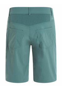 Protest PRTCEDRO - Šortky - laurelgreen
