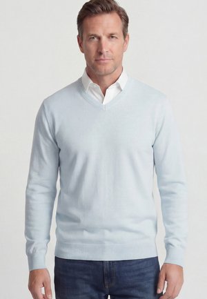 Man draagt een lichtblauwe V-hals trui over een wit overhemd met kraag en donkerblauwe spijkerbroek, kijkt recht vooruit tegen een effen achtergrond.