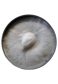 Biała, puszysta piana w okrągłym metalowym pojemniku z gładką powierzchnią i lekko uniesionym wzniesieniem na środku, podkreślająca miękką teksturę.