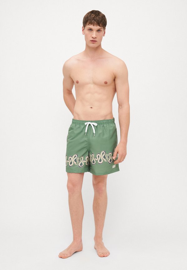 IVY DIZZY BOA  NOVELTY PRINTED SWIM TRUNKS - Swimming shorts4