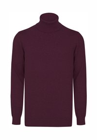 TURTLENECK - Trui - bordeaux