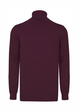 TURTLENECK - Strickpullover - bordeaux