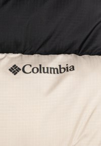 Columbia PUFFECT JACKET UNISEX - Vinterjakke - dark stone/black