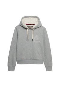 Grijze hoodie gemaakt van zacht materiaal, voorzien van een gevoerde capuchon, trekkoorden, een voorzak in kangoeroestijl en een geborduurd logo op de borst.
