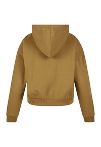 Felpa con cappuccio tagliata in tessuto marrone. Presenta polsini e orlo a coste, texture liscia e un design minimalista con vista posteriore.