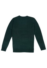 Dunkelgrüner Strickpullover mit langen Ärmeln, Rundhalsausschnitt und gerippten Bündchen sowie Saum. Glatte Textur mit subtilen Farbvariationen.