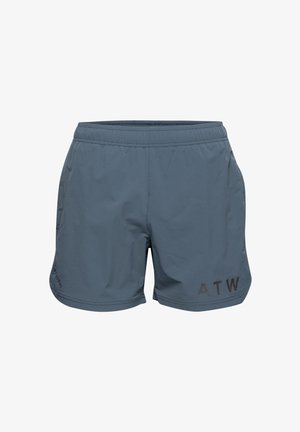 Męskie spodenki sportowe w kolorze szarym, z elastyczną talią, dwiema kieszeniami po bokach oraz logo "ATW" w czerni z przodu.