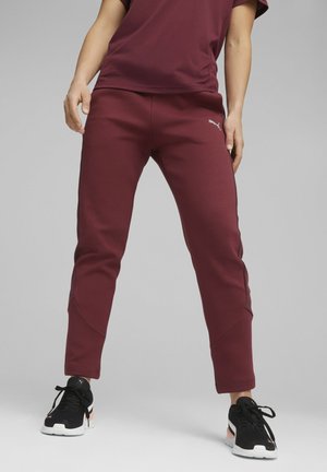 EVOSTRIPE MIT HOHEM BUND - Pantalones deportivos - dark jasper