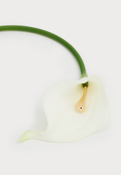 Witte lelie met een glad, gebogen wit bloemblad, een groene steel en een gouden druppel detail aan de basis van het bloemblad.