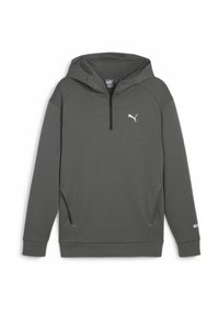 Puma - RAD CAL HALF-ZIP - Hættetrøje - mineral gray Miniaturebillede 1